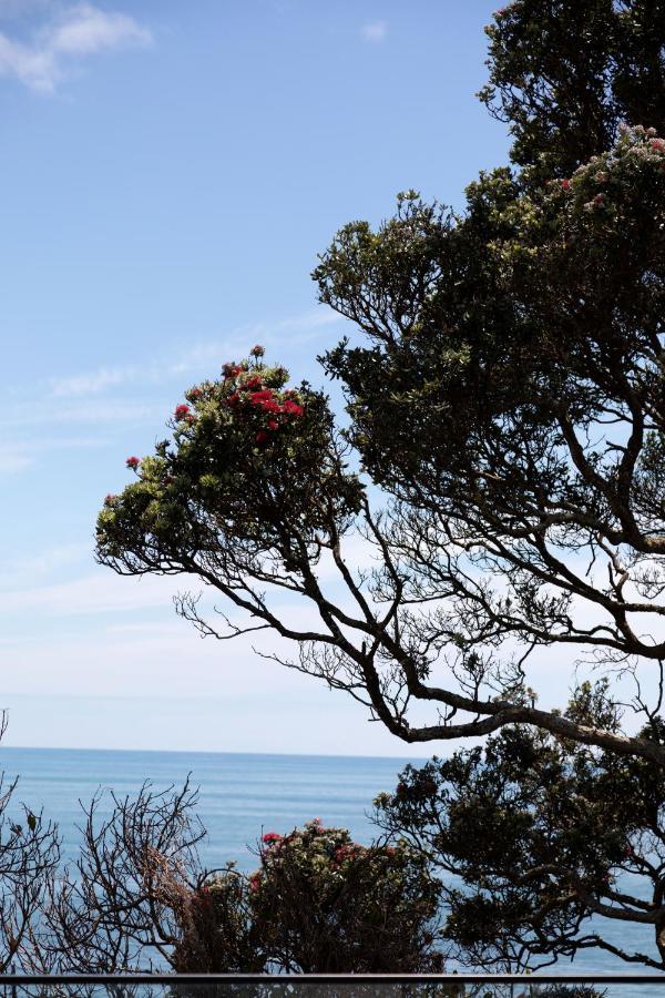 Oakura Beach Front Apartments Εξωτερικό φωτογραφία